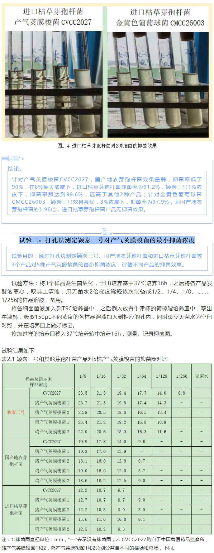 實驗室簡明評估穎泰三號抑菌效果報告_03