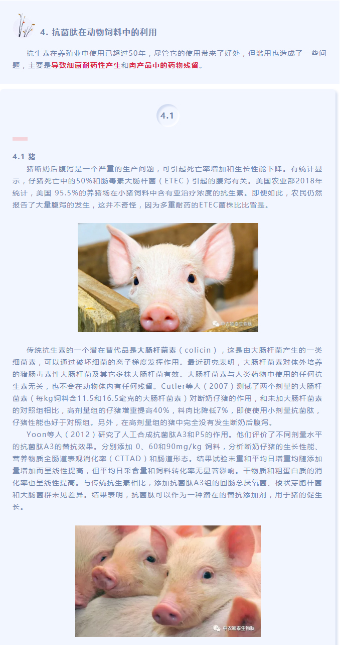 抗菌肽作為替抗飼料添加劑對動(dòng)物生產(chǎn)、食品安全和公共衛(wèi)生影響的綜述（下）_01