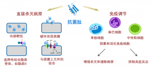 泰倍健——新型免疫增強(qiáng)劑，構(gòu)建核心抗病力